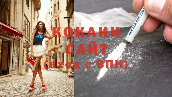 гашик Аркадак