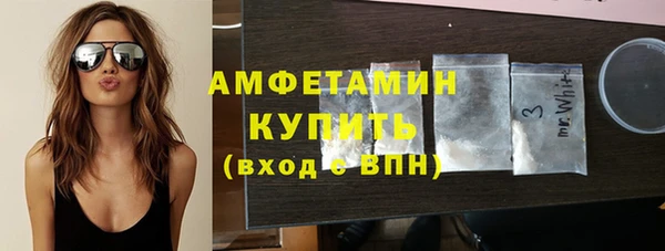 гидра Арсеньев