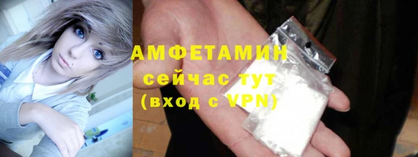 гидра Арсеньев