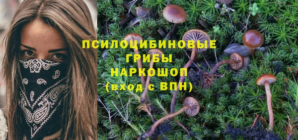 гашик Аркадак