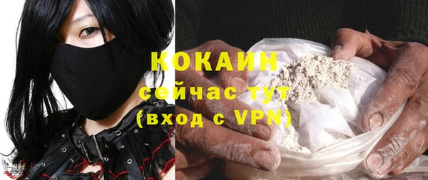 гидра Арсеньев